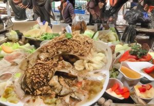 哈比布与康纳精彩对决集锦回顾终极格斗的巅峰对抗与传奇瞬间